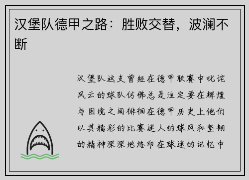汉堡队德甲之路：胜败交替，波澜不断