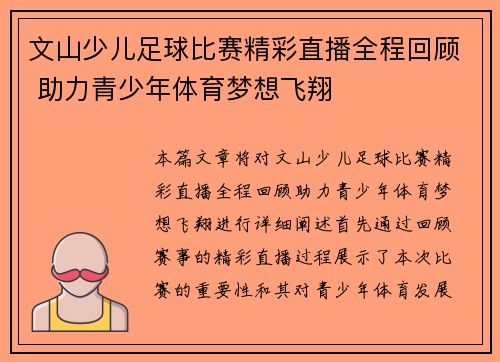 文山少儿足球比赛精彩直播全程回顾 助力青少年体育梦想飞翔